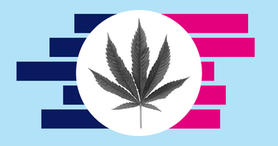 How much revenue do states make from marijuana taxes?