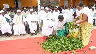 Edappadi Palaniswami claims nearly 85,000 small and marginal tea growers hit by crash in the price of green tea leaves