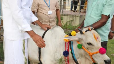 Union Government offers ₹40 crore grant for TTD’s Sahiwal Cow Breeding Programme