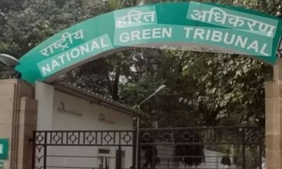 Environment ministry sets up new panel replacing SC's Central Empowered Committee