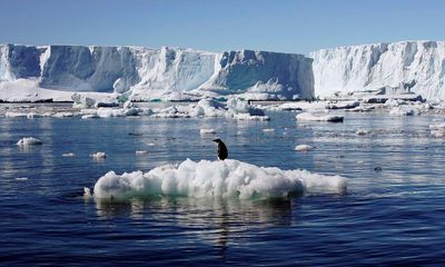 Antarctica warming much faster than models predicted in ‘deeply concerning’ sign for sea levels
