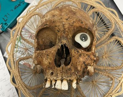 ‘An unusual one’: human skull found in Goodwill donation box in Arizona