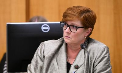 Marise Payne to quit parliament – as it happened