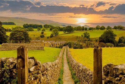 Seven of the best walks in the Yorkshire Dales: Routes to roam and places to stay, from Wensleydale to Hawes