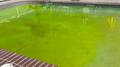 Man arrested for using drone to drop green dye into New Jersey pools