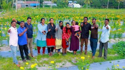 Alappuzha collective scripts a farming fairy tale