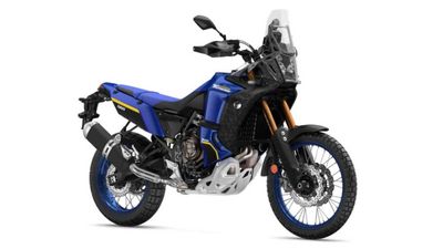 Some Yamaha Ténéré 700 World Raids Recalled In EU Due To Turn Signal Issue