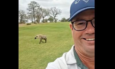 Watch: See what happens when a hyena approached a golfer on a South African course