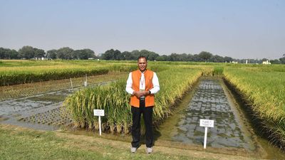 G-20 first spouses enjoy the farm-to-fork millet experience