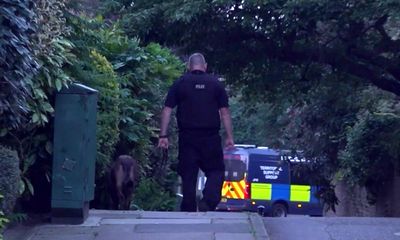 Calm settles in leafy Chiswick after drama of terror suspect Daniel Khalife manhunt
