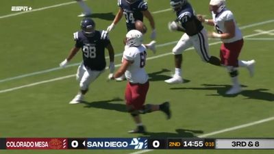A D-II offensive lineman threw a glorious passing touchdown and you absolutely have to see it