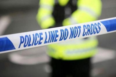 Woman left ‘extremely shaken’ by early-morning sexual assault