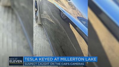 Teslas Are Still Being Keyed: Culprits Not Realizing Cameras