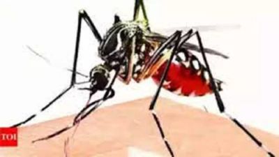 Four-year-old boy dies of dengue in Tamil Nadu; opposition calls out government for negligence
