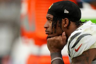 Ja’Marr Chase said the Bengals ‘lost to some elves’ in the most defeated postgame response