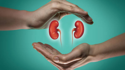 In a first, scientists grow humanised kidney: Full report
