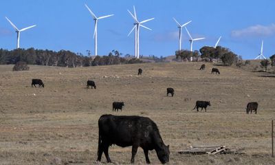 Strong support from Australian business to phase out fossil fuels by 2040, survey finds