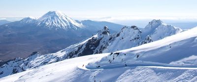 Ruapehu bidder says fields don't make financial sense