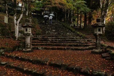 Japan is swamped with tourists. Now visitors are going off the beaten track