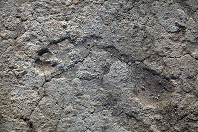 Fossil tracks in South Africa may be oldest evidence yet of humans wearing footwear