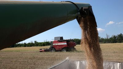 Ukraine says it may contact WTO for compensation over Poland’s refusal to import grain