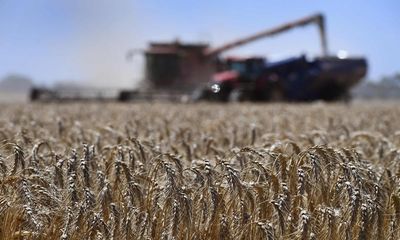 Australian agricultural exports grow to $80bn thanks to high rainfall