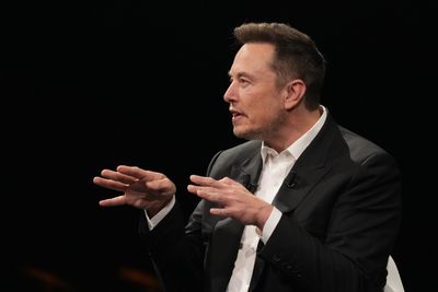 Meet the two Musk cousins Elon called upon to swing the ax