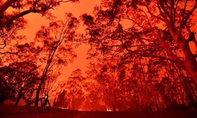 Albanese government not doing enough on climate crisis, majority of Labor voters tell poll