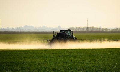 UK fails to ban 36 harmful pesticides outlawed for use in EU