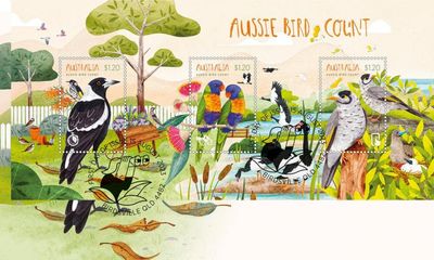 The Australian birds putting their stamp on the urban environment