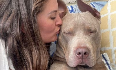 XL Bully owner defends breed and says banning them ‘won’t work’