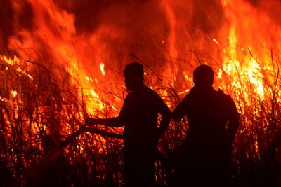 Firefighters battle peatland fires on Indonesia's Sumatra island