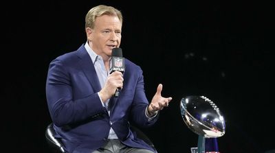 Roger Goodell Claims Some NFL Players Prefer Artificial Turf to Natural Grass
