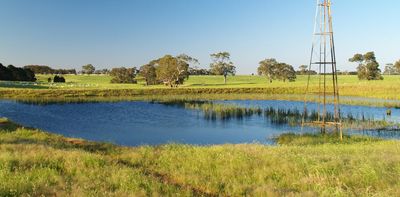 Our unsung farm dams provide vital habitat to threatened species of frogs