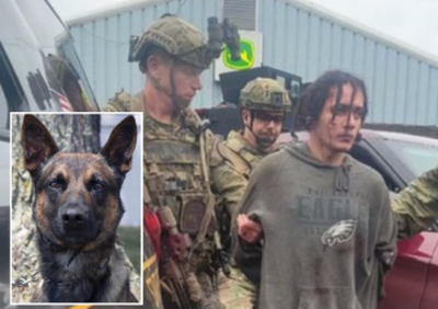 Hundreds of police officers hunted for Danelo Cavalcante for two weeks. A dog secured his capture