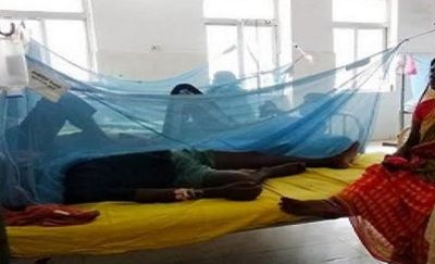 Bihar: Surge in dengue cases in the state; Separate wards set up for patients
