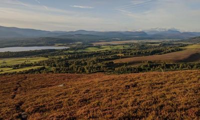 Country diary: A sunrise walk up to ‘the seat’ in the sky