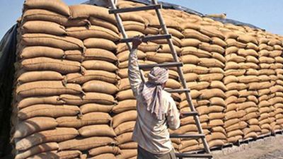 Govt. limits wheat stocks to control price rise, hoarding