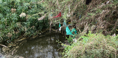 Kenya: Ongata Rongai boom town destroyed two vital rivers – new study flags a major health risk