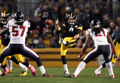 Steelers work out FA punter Brad Wing