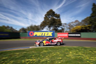 Sandown Supercars: Feeney/Whincup top first practice
