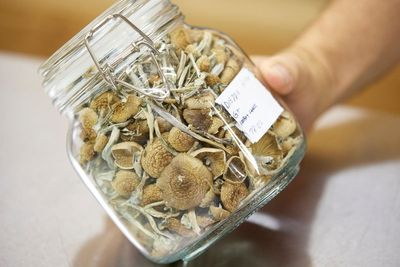 Thousands sign up to experience magic mushrooms as Oregon's novel psilocybin experiment takes off