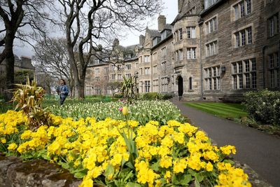 St Andrews beats Oxford and Cambridge to top spot in UK university rankings