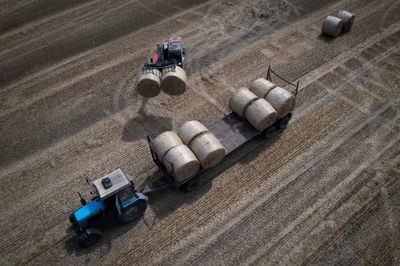 EU faces deadline on extending Ukrainian grain ban as countries threaten to pass their own