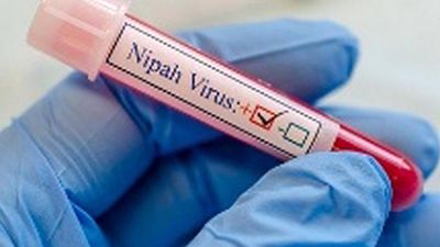 Nipah outbreak: Animal Husbandry department steps up surveillance, issues guidelines