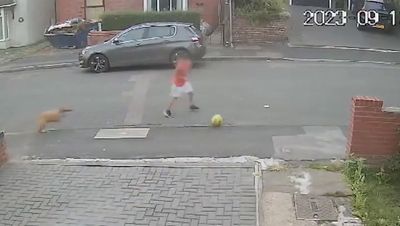 Dog attack: Boy,10, savagely mauled by out-of-control dog outside his home in Walsall