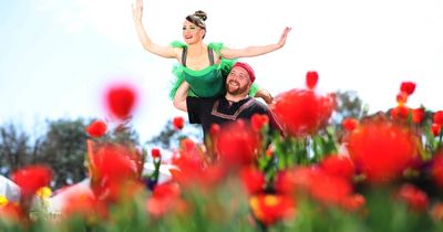 Floriade 'popping' as festival readies to welcome thousands to 'exquisite' event
