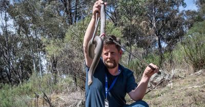 Who's right when it comes to tipping an early spring, snakes or magpies?
