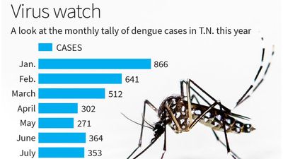 Tamil Nadu reports 4,048 dengue cases in the past eight-and-a-half months