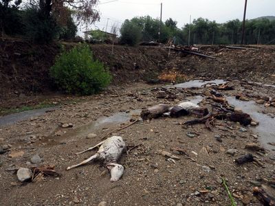 The cost of damage from the record floods in Greece's breadbasket is estimated to be in the billions